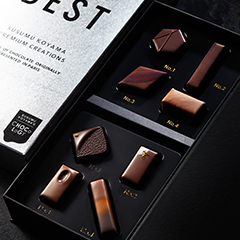 THE BEST SUSUMU KOYAMA PREMIUM CREATIONS 2020-2021