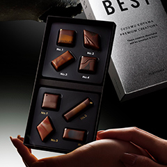 THE BEST SUSUMU KOYAMA PREMIUM CREATIONS 2024-2025