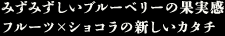 みずみずしいブルーベリーの果実感 フルーツ×ショコラの新しいカタチ