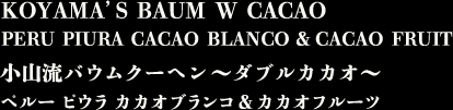 KOYAMA’S BAUM W CACAO PERU PIURA CACAO BLANCO & CACAO FRUIT　小山流バウムクーヘン～ダブルカカオ～　ペルー ピウラ カカオブランコ＆カカオフルーツ