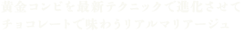 黄金コンビを最新テクニックで進化させて チョコレートで味わうリアルマリアージュ