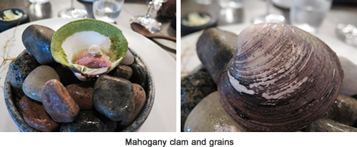 Mahogany clam and grains