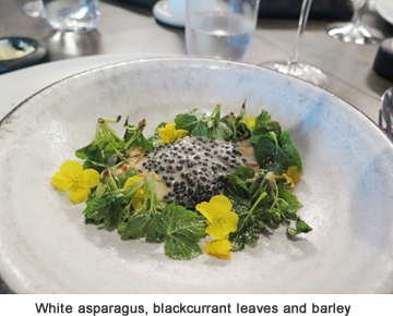 White asparagus, blackcurrant leaves and barley